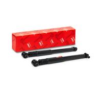 TRW JGT316T Shock absorber