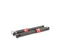 TRW JGT431T Shock absorber