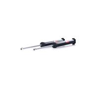 TRW JGT442T Shock absorber