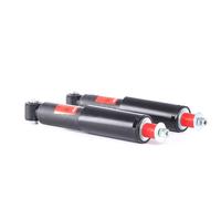 TRW JHE246T Shock absorber