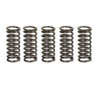 Trw Mef304-5 Clutch Spring Kit