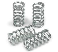 TRW Clutch Spring Set MEF306-6 Kit