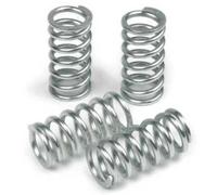 TRW Clutch Spring Set MEF341-6 - Fits Honda 450R - UK Stock