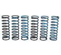 TRW MOTO MEF313-6 Clutch Spring Set OE REPLACEMENT