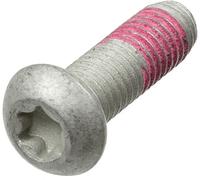 Fits TRW MSS113-6 Brake disc screws set MSS113-6 M8x1,25x1,25mm, leng ⭐UK Stock⭐