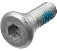 TRW MSS123-5 Screw Set, brake disc