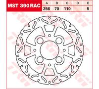 TRW Racing brake discs, rear, with ABE