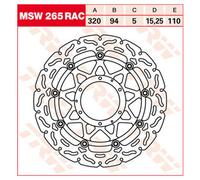 TRW Racing front brake discs, with ABE