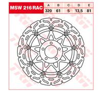 TRW Racing front brake discs, with ABE