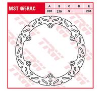 TRW Racing front brake discs, with ABE