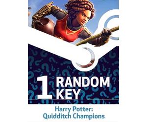 Try To Get Harry Potter: Quidditch Champions - Random 1 Key - Steam Key - GLOBAL