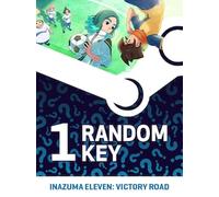Try to Get INAZUMA ELEVEN: Victory Road - Random 1 Key (PC) - Steam Key - GLOBAL