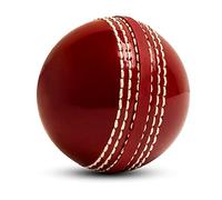 TrySalar® Soft Cricket Rubber Ball Indoor for Junior Youth Adult Training, Coaching, Practice Excellent Bounce with Durable Traditional Seams Stitched Outdoor (1 Pcs Red)