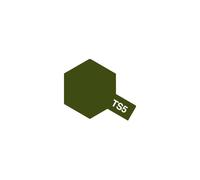 Ts-5 Olive Drab Spray Paint (Store Pickup Only)