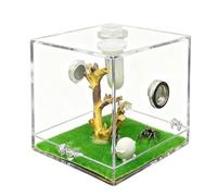 Tsangbaby Jumping Spider Enclosure, Cute Lamb Jumping Spider Accessories Tarantula Enclosure Small Jumping Spider Accessories Reptile Enclosure for Snails Geckos Mantises Lizards Spiders