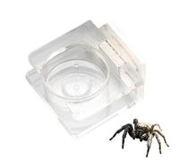 Tsangbaby Jumping Spider Water Dispenser, Acrylic Jumping Spider Feeding Dish Magnetic Hanging Feeder for Jump Spiders Tarantulas Praying Mantises Arboreal Animals