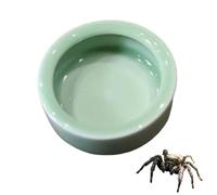 Tsangbaby Jumping Spider Water Dispenser, Cyan Ceramic Circle Jumping Spider Feeding Dish Magnetic Hanging Feeder for Jump Spiders Tarantulas Praying Mantises Arboreal Animals