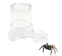 Tsangbaby Jumping Spider Water Dispenser Jumping Spider Food Dish Small Transparent Jump Spiders Enclosure Accessories for Jump Spiders Tarantulas Praying Mantises Arboreal Animals