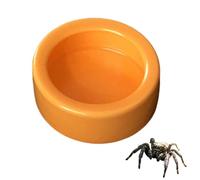Tsangbaby Jumping Spider Water Dispenser, Orange Ceramic Circle Jumping Spider Feeding Dish Magnetic Hanging Feeder for Jump Spiders Tarantulas Praying Mantises Arboreal Animals
