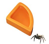 Tsangbaby Jumping Spider Water Dispenser, Orange Ceramic Right-Angled Shape Jumping Spider Feeding Dish Magnetic Hanging Feeder for Jump Spiders Tarantulas Praying Mantises Arboreal Animals