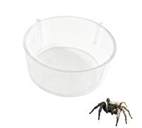 Tsangbaby Jumping Spider Water Dispenser, Plastic Jumping Spider Feeding Dish Magnetic Hanging Feeder for Jump Spiders Tarantulas Praying Mantises Arboreal Animals