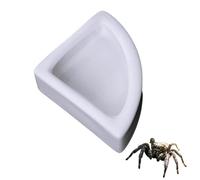 Tsangbaby Jumping Spider Water Dispenser, White Ceramic Right-Angled Shape Jumping Spider Feeding Dish Magnetic Hanging Feeder for Jump Spiders Tarantulas Praying Mantises Arboreal Animals