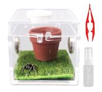 Tsangbaby Mini Jumping Spider Enclosure Acrylic Jumping Spider Enclosure Accessories Tarantula Enclosures Spiders Box for Spiders Enthusiast Style 2