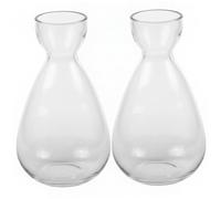 Tsawntd 2PCS Avocado Seed Starter Vase Clear Glass Avocado Vase for Growing Hydroponic Container for Home Office Desk, Gardening Lover Avacado for Growing