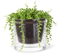 Tsawntd Semi Hydroponic Pots, Clear Glass Self Watering Planter - 3.74 Inch Naked Root Planter with Reservoir for African Violet, Houseplants, Desk Decor