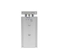 TSCFHGQI CXSM20 CXSL20 Stroke:10-100 Dual Rod Cylinder With Stable Lubrication Function Basic Type Pneumatic component(20-70,CXSL20)