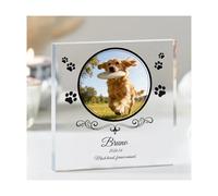 TSD Personalized Pet Memorial Acrylic Crystal Clear Block, 3D Effect Photo Plaque with Custom Name & Date, Square Acrylic Keepsake for Dog & Cat Remembrance