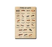 TSEZLOJH Metal Tin Sign Ant Knowledge Poster Information of Ant Knowledge Lover Ant Knowledge Wall Decor Types of Ant Vertical Poster 8X12 inch-Tin Painting