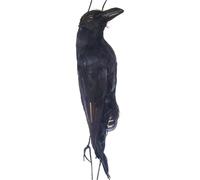 Tsffae 1pc Realistic Hanging Dead Crows Decoy Lifesize Black Feathered Crow Fake Crows for Garden Party Halloween Decorations Props