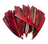 Tsffae 50pcs Hunting Arrows Feather Archery Vane Shield Archery Fletchings for Hunting Target Shooting Diy Accessories
