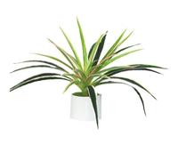 Tsffae Artificial Chlorophytum, Simulated Green Leaf Plant, Chlorophytum Spider Plant Flowers Bonsai for Home Garden Office Decoration (pot No Include)