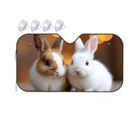 TSGB Sun Shade For Car Two Adorable Rabbits In Soft Lighting Car Windshield Sunshade Sun Shade For Car Window Window Sun Shade For Car(70x130cm)