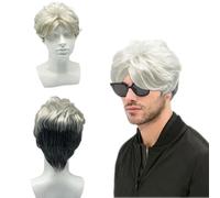 TSHAOUN Mens Wig Grey, Natural 70s 80s Short Curly Fluffy Cosplay Layered Wig for Men's Daily Use & Costume