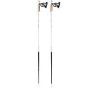 TSL - Tactil C100 Cork Spike Silver - 110 - Poles