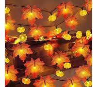 TSLBW Pumpkin Maple Leaf Acorns String Lights Thanksgiving Halloween Decoration String Lights 3 Meter 20 LED Light Fall Garland Indoor Outdoor Decor Autumn Decoration