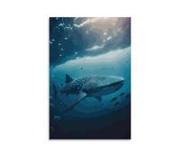 TSNKNP Animal Whale Shark Poster Decorative Painting Canvas Wall Art Living Room Poster Bedroom Painting Wall Art Picture Print Modern Family Room Decor 16 x 24 Inches (40 x 60 cm)