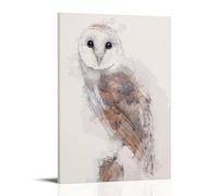 TSNKNP Bird Barn Owl Animal Poster Decorative Painting Canvas Wall Art Living Room Poster Bedroom Painting Wall Art Picture Print Modern Family Room Decor 12 x 18 Inches (30 x 45 cm)