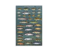 TSNKNP Freshwater Game Fish Poster Decorative Painting Canvas Wall Art Living Room Poster Bedroom Painting Wall Art Picture Print Modern Family Room Decor 16 x 24 Inches (40 x 60 cm)