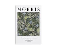 TSNKNP Seaweed William Morris Art Poster Decorative Painting Canvas Wall Art Living Room Poster Bedroom Painting Wall Art Picture Print Modern Family Room Decor 20 x 30 Inches (50 x 75 cm)