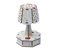 Tsophreniq Educational Wooden Science Building Toy with Automatic Color Changing Night Light for Children Learning and Hands on Fun Parent Toy