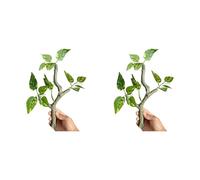 Tsophreniq Natural Lookings Artificial Plant for Reptiles Climbing 2PCS Branch Safe Environment Terrariums Fishtanks Landscape Aquarium Decoration Plant