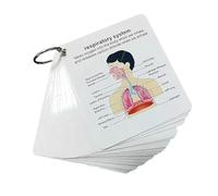Tsophreniq Permanent Paper Educational Layouts Detailed Human Body Arrangements Learning Aid for Classroom Otherwise Home Human Structure Flashcards