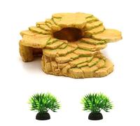 Tsophreniq Practical Turtle Climbing Area and Relaxation Zone Designed for Stability in Wet Conditions Multi Turtle Basker