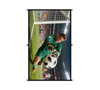 Tsophreniq Quick Installs D Rings Projection Screen 16: 9 Ratio Thickened Polyester Fabric for Home Theater and Camping Simple Projection Screen