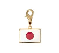 Tsophreniq Stainless Steel Country Flag Pendant Hand Chain Charm Travel Keyring Ornament with Lobster Clasp and Small Profile Lobster Clasp Keyring