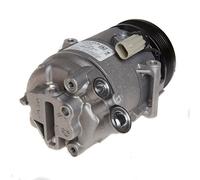 DELPHI TSP0155458 Air conditioning compressor